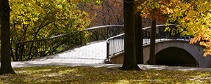 autumn-park-bridge-boston