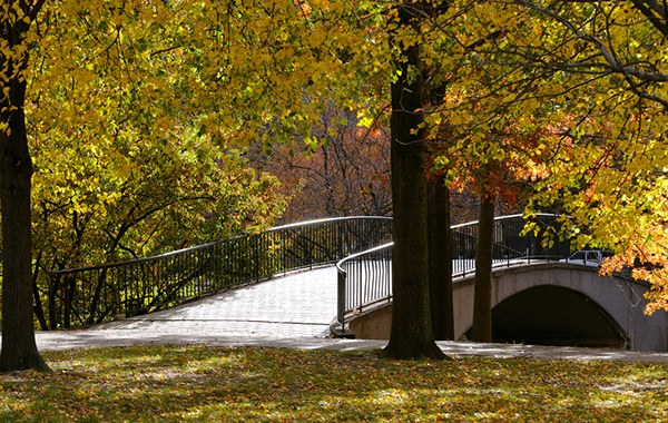 autumn-park-bridge-boston_lg
