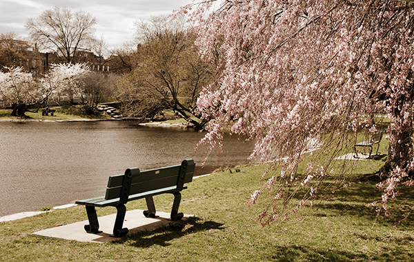 boston-park-bench