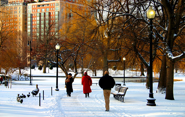 snowy-park-boston