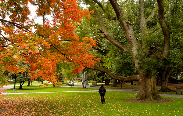 woman-walking-in-boston-park